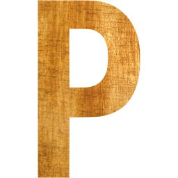 letter p icon