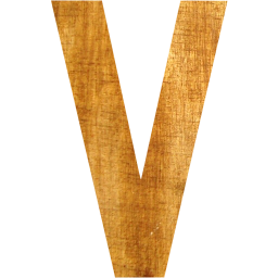 letter v icon