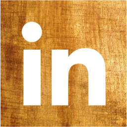 linkedin 2 icon