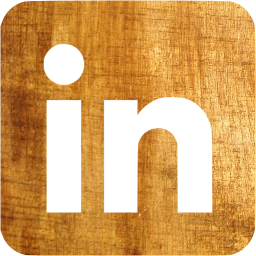 linkedin 3 icon