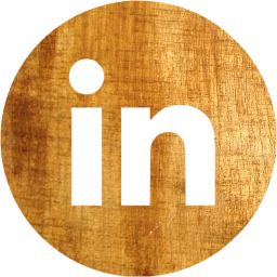linkedin 4 icon