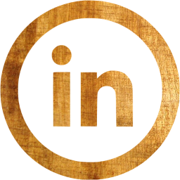 linkedin 5 icon