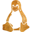 linux