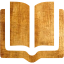 literature