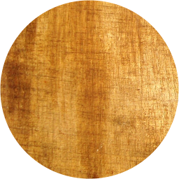 media record icon