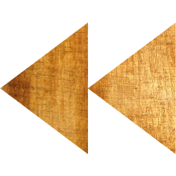 media skip backward icon