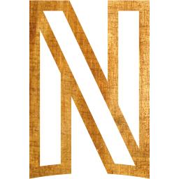 netflix icon