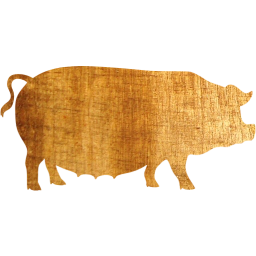 pig 3 icon