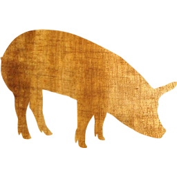 pig 5 icon