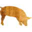 pig 7