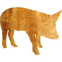pig 8 icon