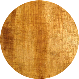 record icon