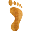 right footprint