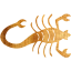 scorpion 2