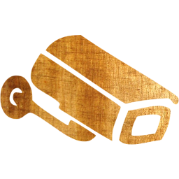 security camera icon