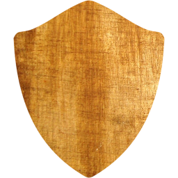 shield icon