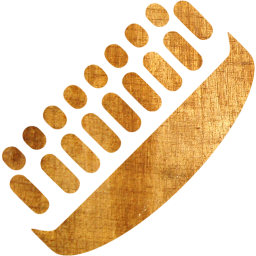 shoe brush icon