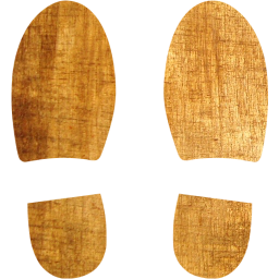 shoes footprints icon