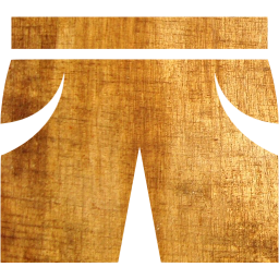 shorts icon