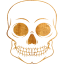 skull 55