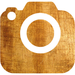 slr camera 2 icon