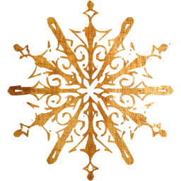 snowflake 10 icon