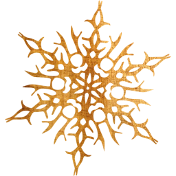 snowflake 14 icon