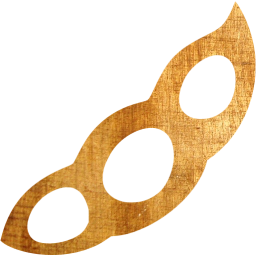 soy icon