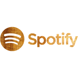 spotify 2 icon