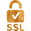 ssl badge 2