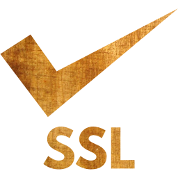 ssl badge 3 icon