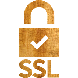 ssl badge 5 icon