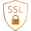 ssl badge