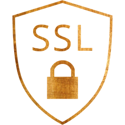 ssl badge icon