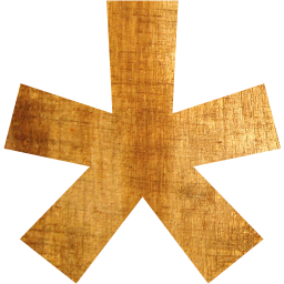 star 14 icon