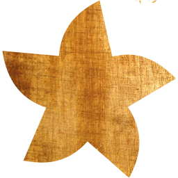 star 21 icon