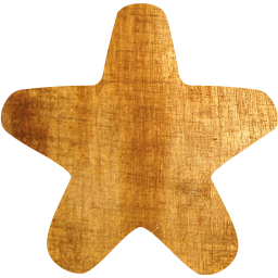 star 23 icon