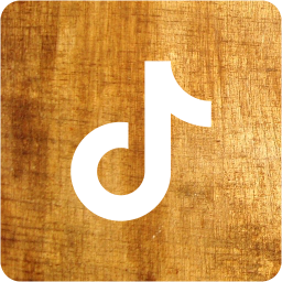 tiktok 2 icon