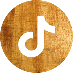 tiktok 3 icon