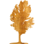 tree 17