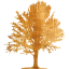 tree 18