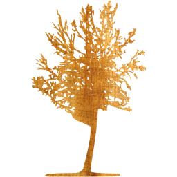tree 27 icon