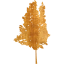 tree 35