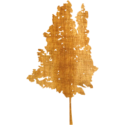 tree 35 icon