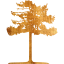 tree 44