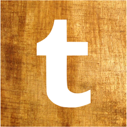 tumblr 2 icon