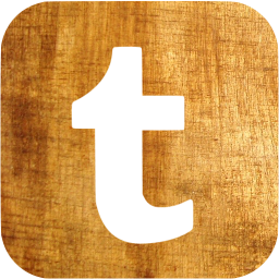 tumblr 6 icon