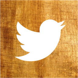 twitter 2 icon
