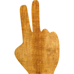 two fingers icon
