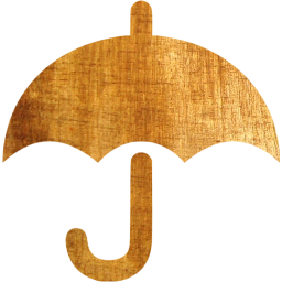 umbrella icon